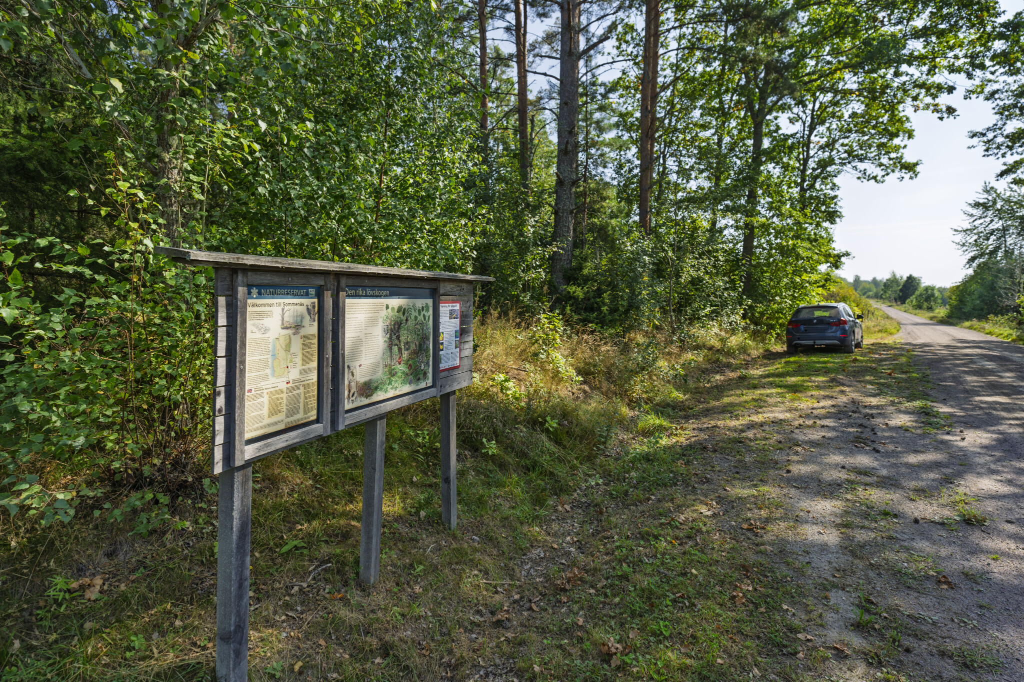 Informationstavla vid parkeringen till Sommenäs naturreservat omgiven av lummig grönska, med en bil parkerad längs grusvägen