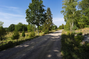 Grusväg genom sommargrön natur i Sommenäs naturreservat längs Östgötaleden, med lövträd, granar och öppet kulturlandskap.