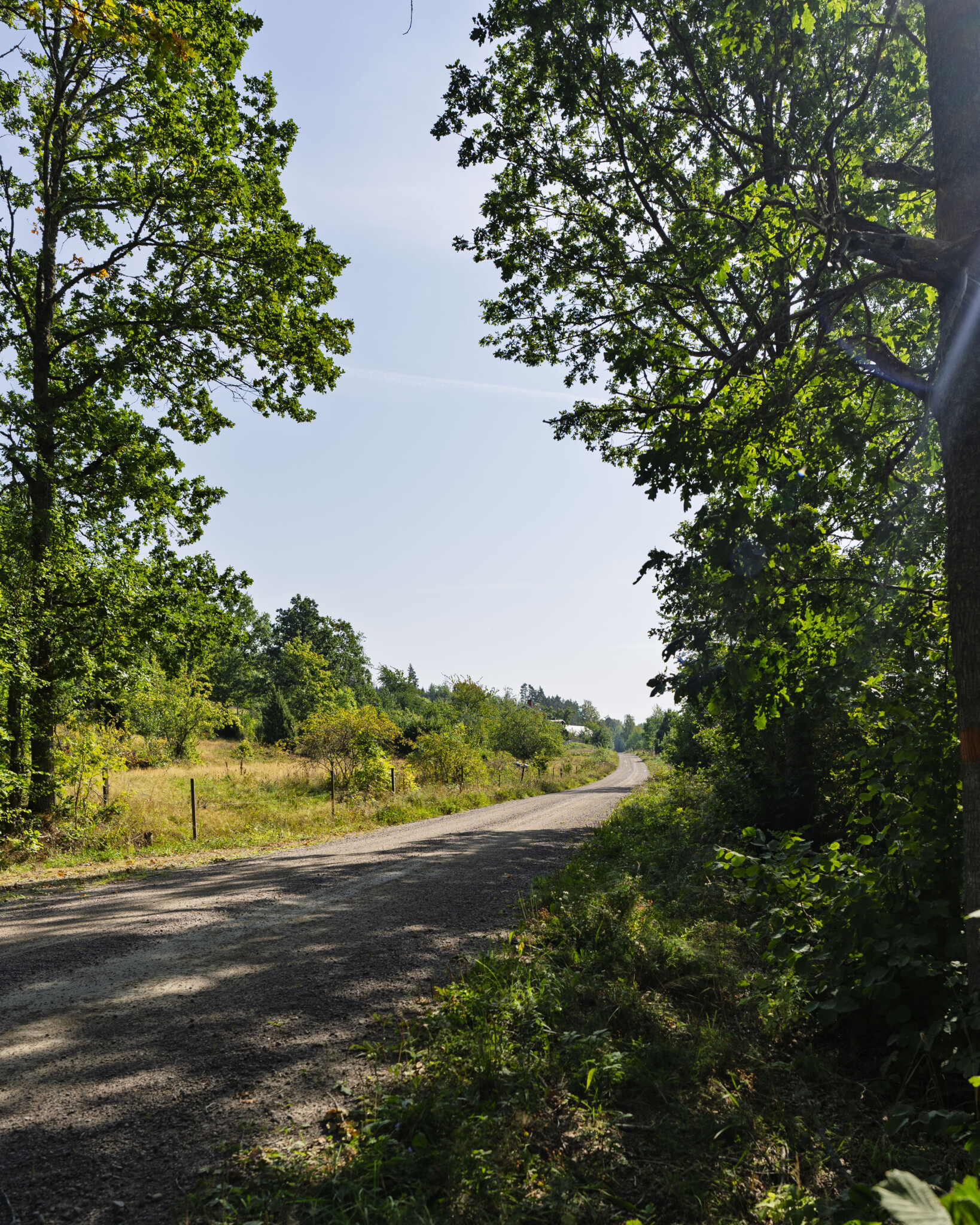 Slingrande grusväg genom grönt sommarlandskap vid Sommenäs naturreservat längs Östgötaleden, omgiven av lövträd och hagmark.