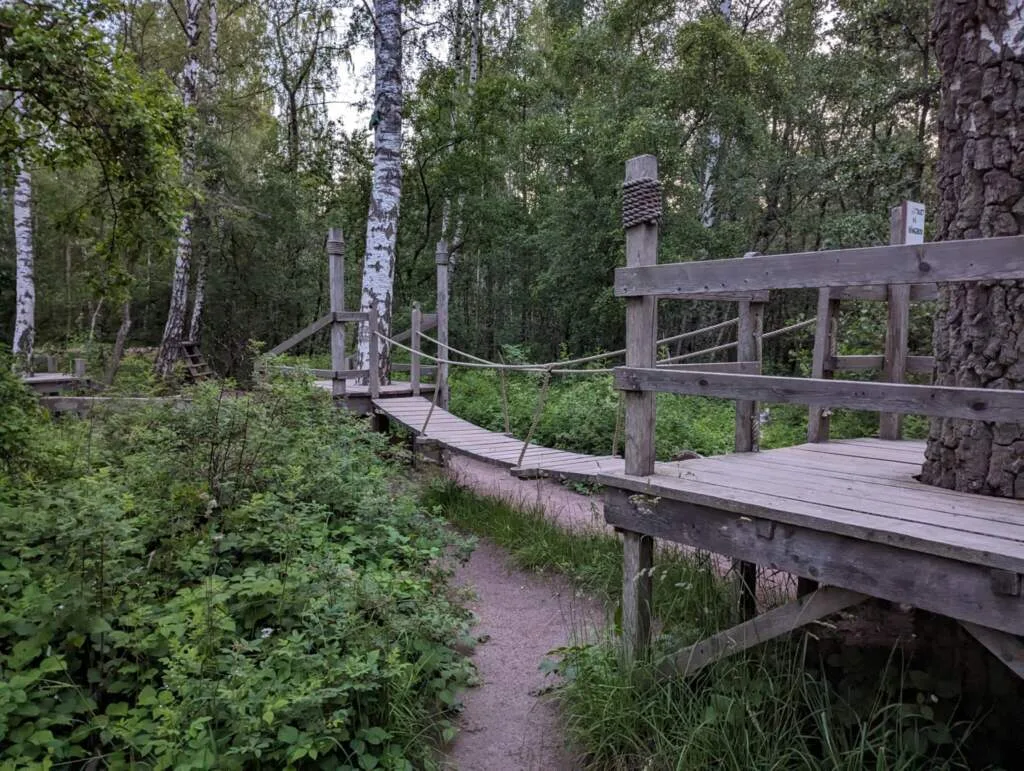 Träbro med repräcken mellan björkstammar på naturlekplatsen vid Naturum Tåkern, omgiven av frodig grönska och skog.