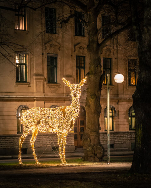 Lysande julbelysning i form av en hjort med kid framför en klassisk byggnadsfasad en mörk kvällstund