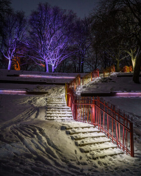 Snötäckt trappa med färgglatt belyst räcke under ljusfestivalen Vinterljus i en park, med lila upplysta träd i bakgrunden.
