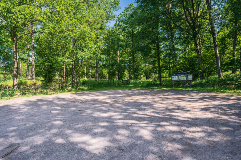 Grusad parkering vid Ekhagsrundan i Västerby lövskogar med informationstavlor omgivna av grönskande lövträd en solig sommardag.