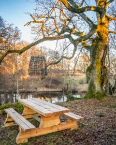 Piknikbord under en mossbeklädd ek med hängande korglampa vid vattnet i Solberga naturreservat, Mjölby kommun