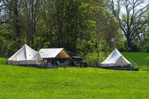 Vita glampingtält på grön äng vid Bergs slussar längs Göta kanal, omgivna av lummiga lövträd i Östergötland