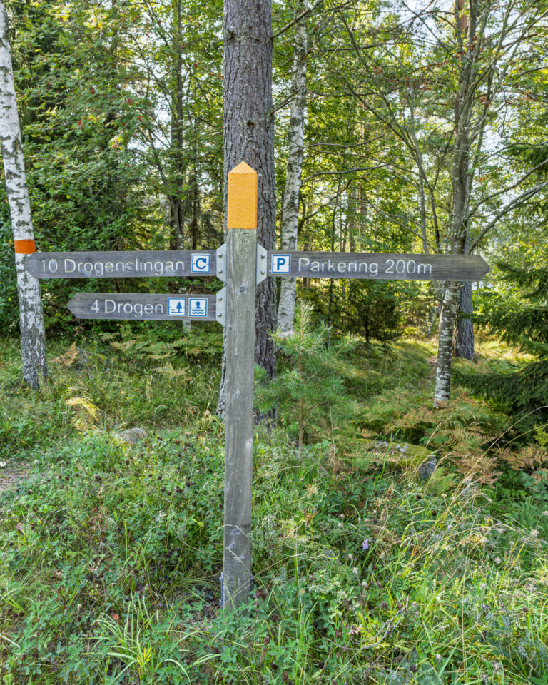 Vägvisare i skogen vid Östgötaleden med skyltar mot Drögenslingan, Drögen och parkering, omgiven av björkar och grönska.