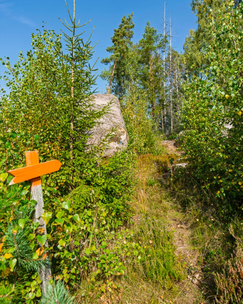 Orange ledmarkering vid en smal stig genom tät skog med stort stenblock längs Amundeboslingan på Östgötaleden, Linköpings kommun