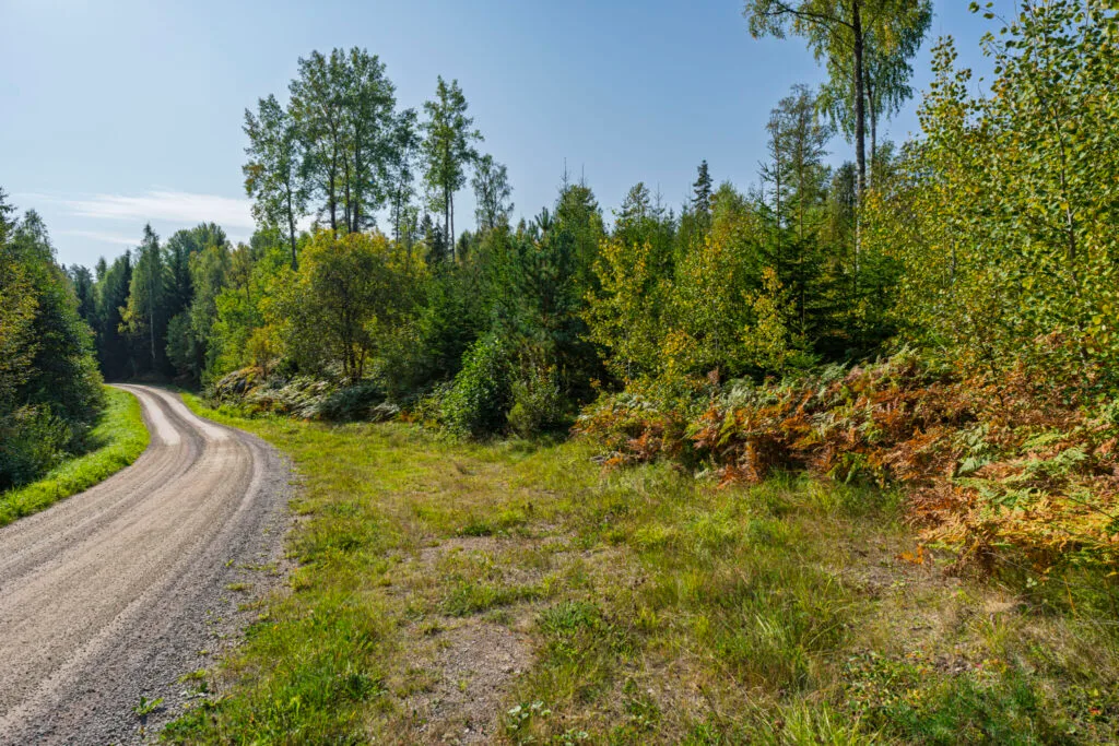 Slingrande grusväg genom lummig blandskog längs Östgötaleden i Linköpings kommun, med höstliga färger i lövverket