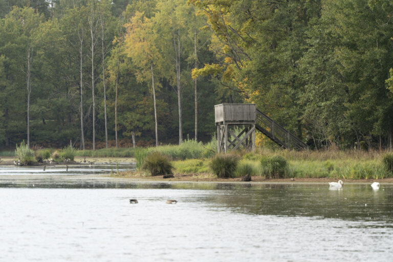 Fågeltornet vid Rosenkälla gård