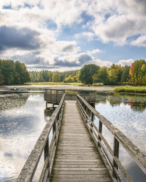 Träbrygga med räcken som leder ut till utsiktsplattformen vid Dämmet, Rosenkällasjön, omgiven av höstfärgad skog och dramatisk himmel