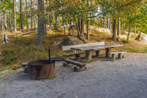 Grillplats med eldstad och träbänkar vid Dämmet nära Rosenkällasjön, omgiven av höstfärgad skog i Linköping