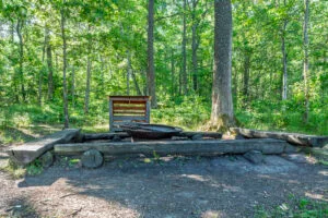 Grillplats med eldskål och sittbänkar av trästockar i lövskogen vid Viggebysandsbadet, Viggeby naturreservat i Östergötland