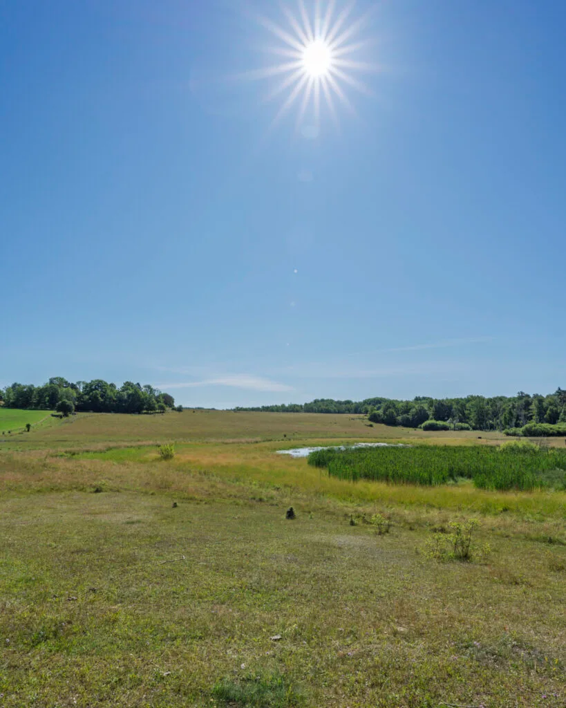 Utsikt över Viggebys våtmark i solsken, med vidsträckta gräsmarker, en liten vattenspegel och skog i horisonten, Östergötland