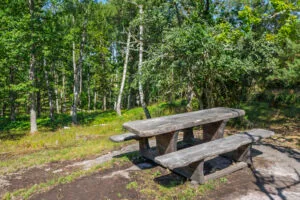 Rastplats med bänkbord i betong vid Lervikshöjden nära Viggebysandsbadet, omgiven av lövskog en solig sommardag