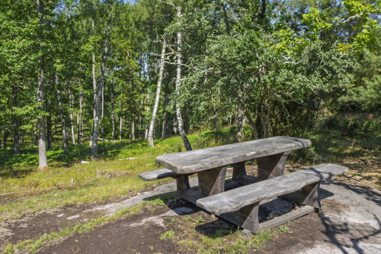 Rastplats med bänkbord i betong vid Lervikshöjden nära Viggebysandsbadet, omgiven av lövskog en solig sommardag