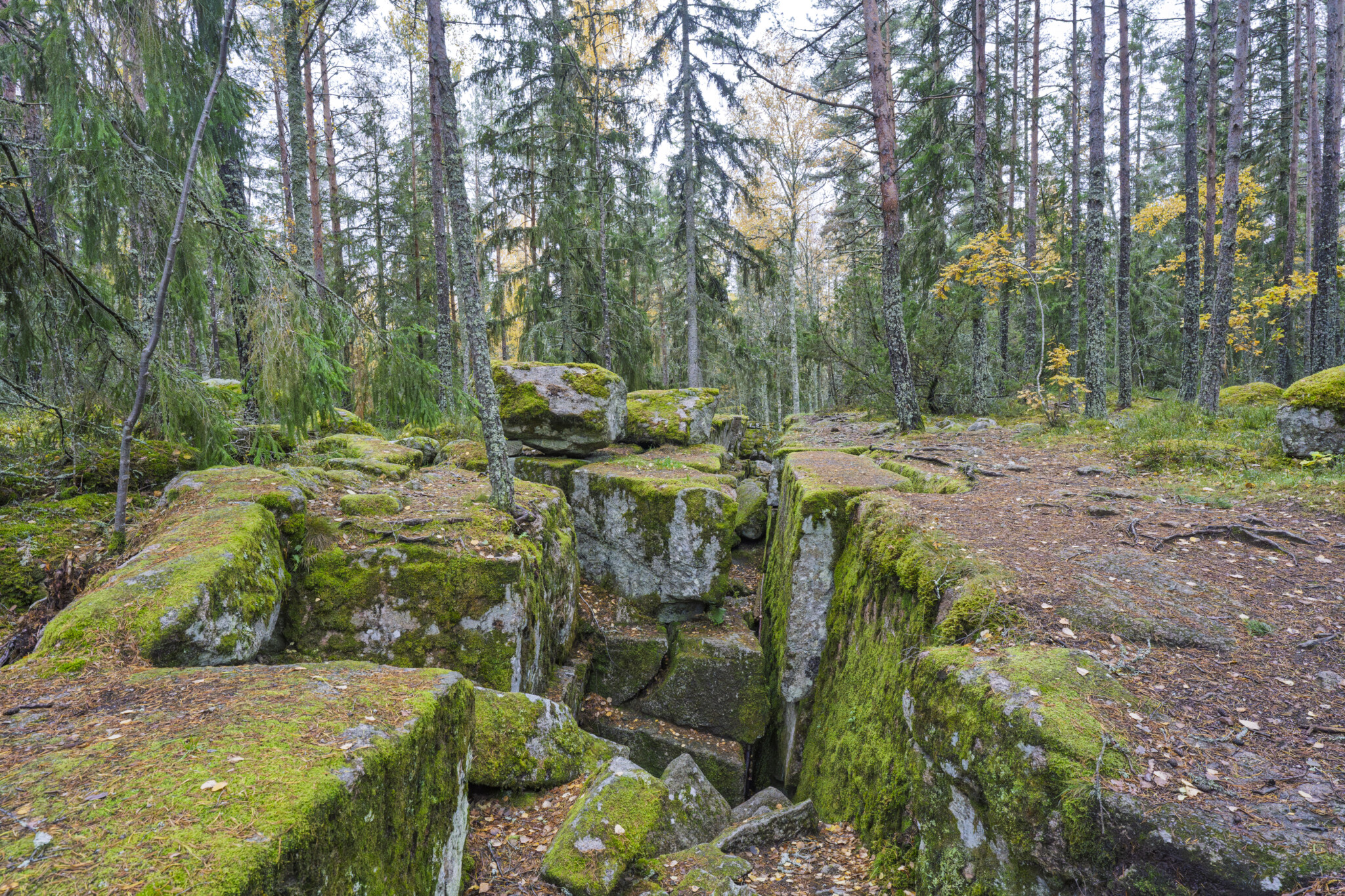 Mosstäckta klippblock med djupa skrevor vid Trollegater i Östergötland, omgivna av barrskog och höstfärgade lövträd