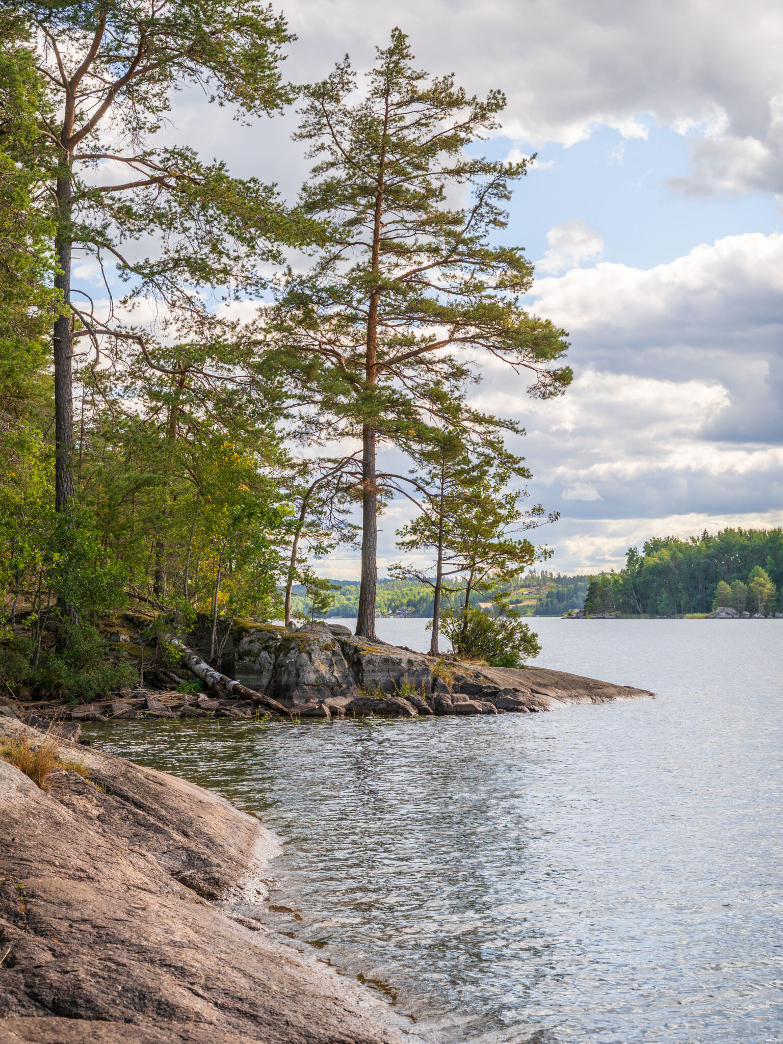 Klipphäll och höga tallar vid strandkanten längs Viggebyleden i Linköping, med sjöutsikt och skogsklädda öar i bakgrunden.