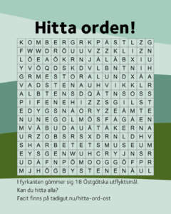 Ordpussel med rubriken "Hitta orden!" där 18 östgötska utflyktsmål gömmer sig i en bokstavsruta på grön bakgrund.
