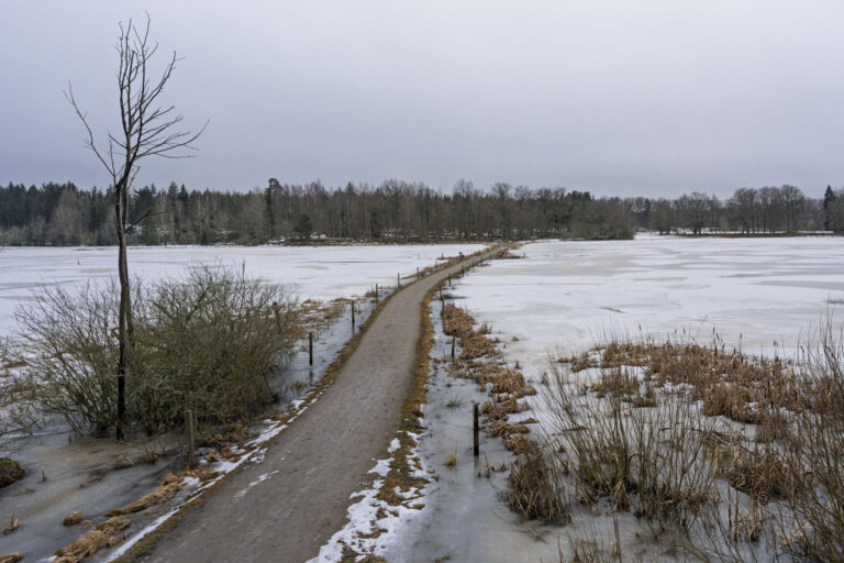 Smal vandringsled genom översvämmat vinterlandskap i Ekängsdalen, med is, snö och våtmark på båda sidor och skog i horisonten.