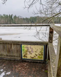Fågelplattform vid Slättsjön i Ekängsdalen med informationsskylt om Slättsjöns fåglar, isbelagd sjö och skog i bakgrunden