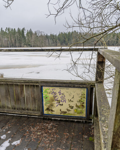 Fågelplattform vid Slättsjön i Ekängsdalen med informationsskylt om Slättsjöns fåglar, isbelagd sjö och skog i bakgrunden