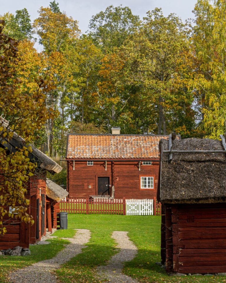 Röda faluröda timmerhus med tegeltak och halmtak i Fornhemmet vid Bjärka-Säby, omgivna av höstfärgade lövträd och gröna gräsytor.