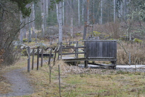 Träspång med räcke längs vandringsleden vid Ullabergs våtmarker, omgiven av björkskog och mossbelupna stenar i vinterlandskap.