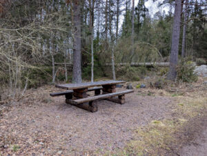 Rustikt bänkbord i skogen vid rastplats längs Östgötaleden nära Ullabergs våtmarker utanför Landeryd, tidig vår