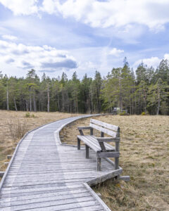 Träspång med vilbänk vid Kärna mosse naturreservat i Linköping, omgiven av myrmark och barrskog under molnig himmel