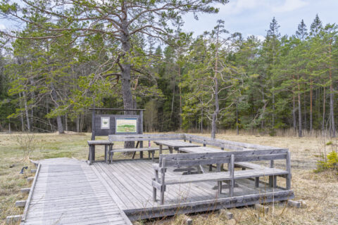 Rastplats med bänkbord och informationstavla på träspång vid Kärna mosse, omgiven av tallskog i Östergötland.
