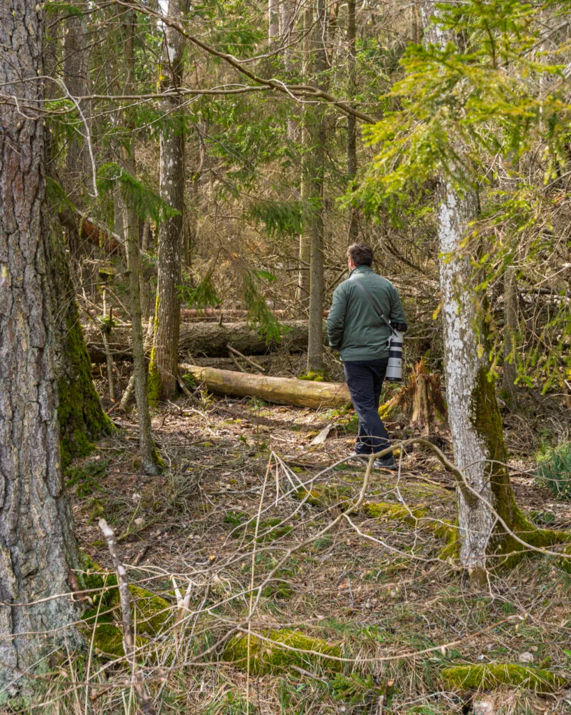 Man med teleobjektiv vandrar genom mossbeklädd skog i Kärna mosse naturreservat utanför Linköping, Östergötland