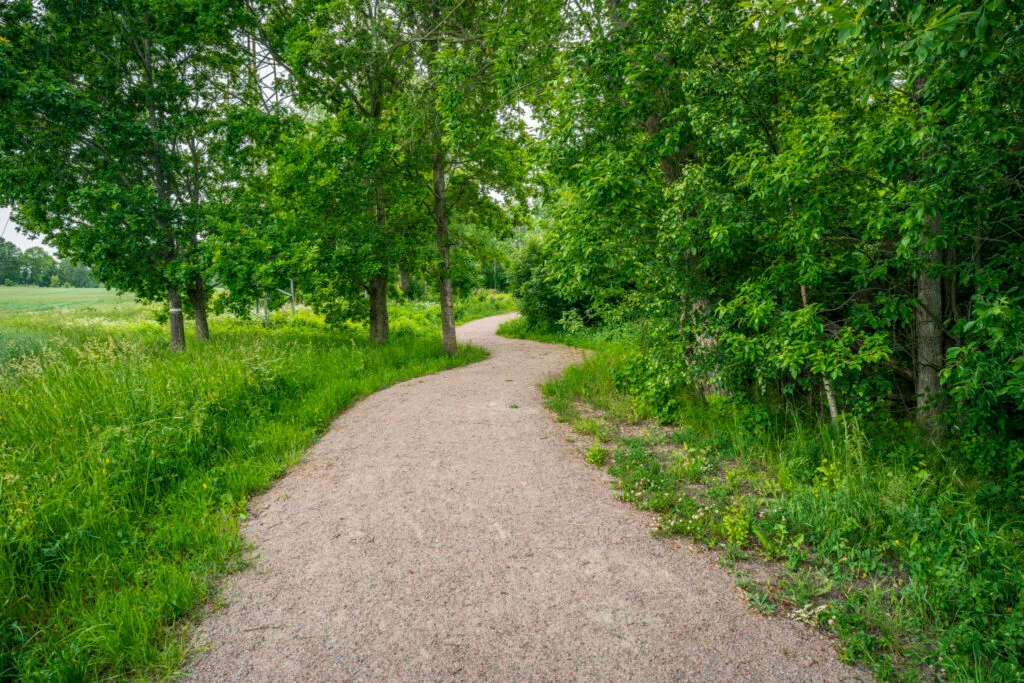 Slingrande grusstråk genom frodig grönska längs Motala ströms ravin i Linköping, en tillgänglig del av vandringsleden.