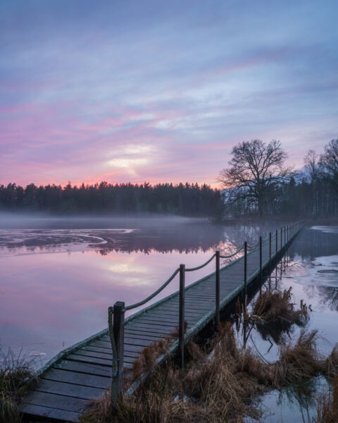 Frostigt morgonljus över en spång vid Mossens våtmarker nära Ullaberg, med dimma över vattnet och rosa soluppgång bakom skogen