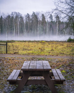 Bänkbord vid rastplats norra Ullabergs våtmarker, dimma sveper över det fuktiga landskapet med björkar och skog i bakgrunden.