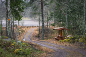 Skogsväg med orange ledmarkering vid Ullabergs våtmarker nära Landeryd, med rastplats med tak och bänkbord i dimmigt höstlandskap