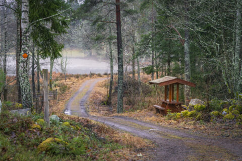 Skogsväg med orange ledmarkering vid Ullabergs våtmarker nära Landeryd, med rastplats med tak och bänkbord i dimmigt höstlandskap
