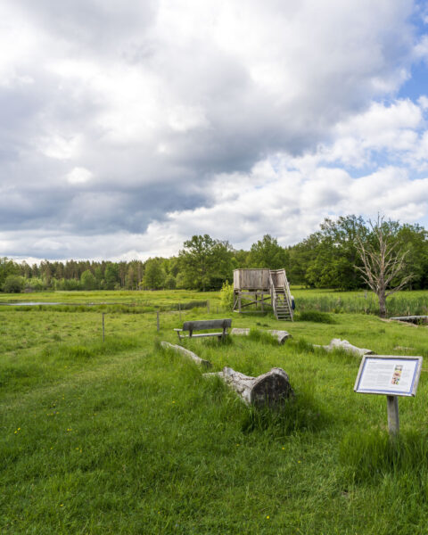 Fågeltorn i trä vid Frökärret i Tinnerö eklandskap, med informationsskylt, bänk och gröna våtmarker omgivna av lövskog.