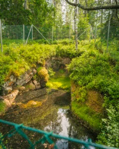 Vattenfylld gruvöppning vid Rådsla gruva omgiven av frodig grönska och mossklädda klippor, inhägnad med stängsel längs Rådslaleden