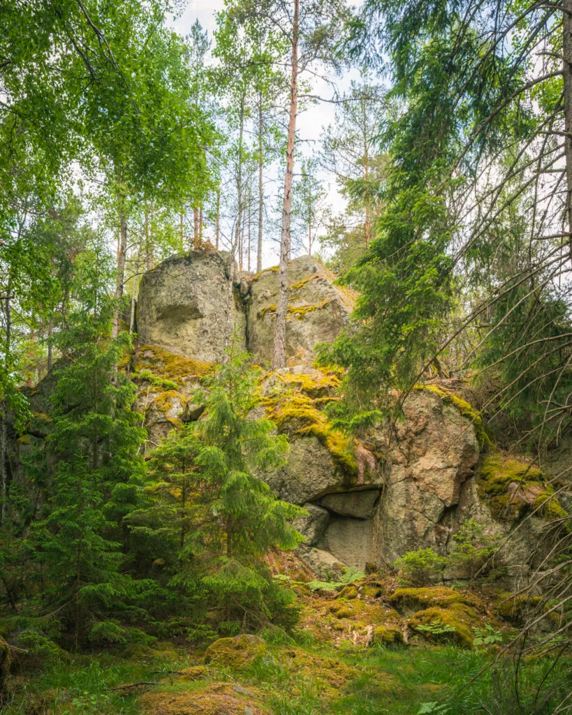 Mossklädda klippblock vid Huaberget längs Rådslaleden i Östergötland, omgivna av granar och björkar i grön sommarskog.