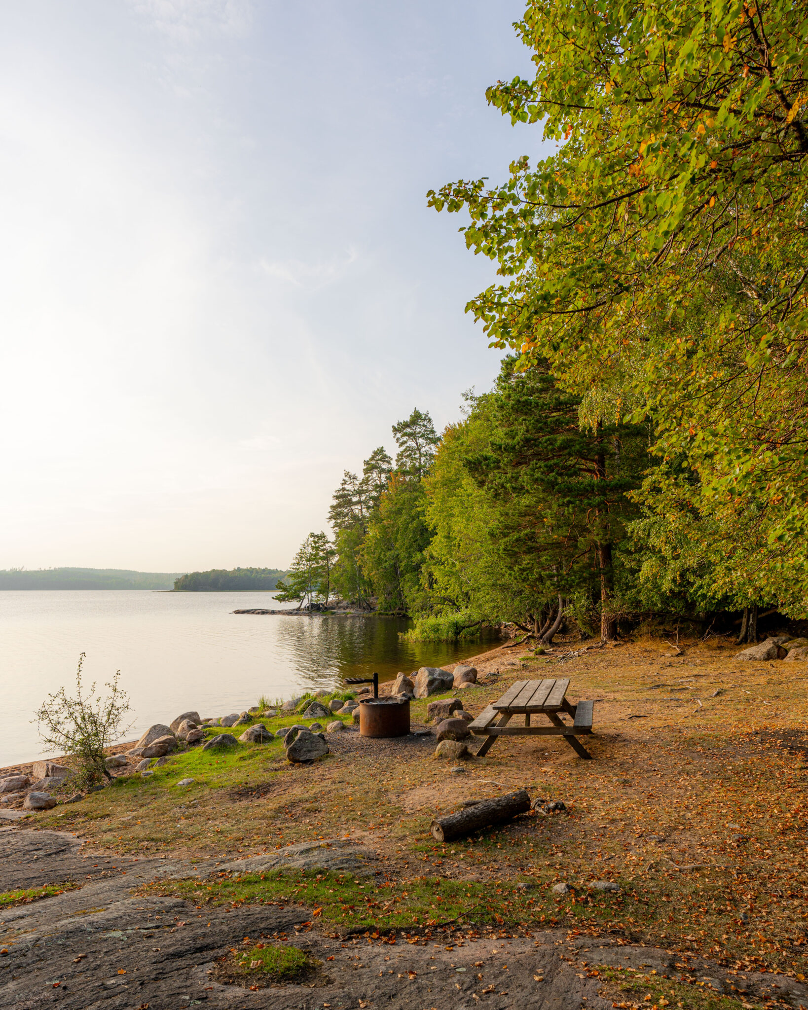 Rastplats med picknicbord och grillplats vid sjöstranden i Hackelboöns naturreservat, omgiven av höstfärgade lövträd och tallskog