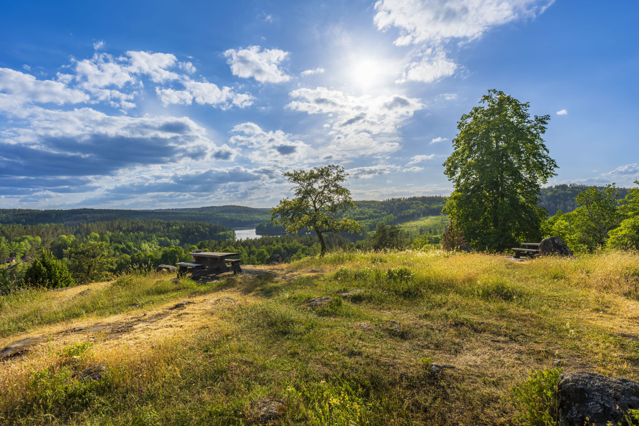 Utsiktsplats vid Idhults naturreservat med rastbänkar, sommargrönska och vid utsikt över skogsklädd dalgång med sjö i Kinda kommun