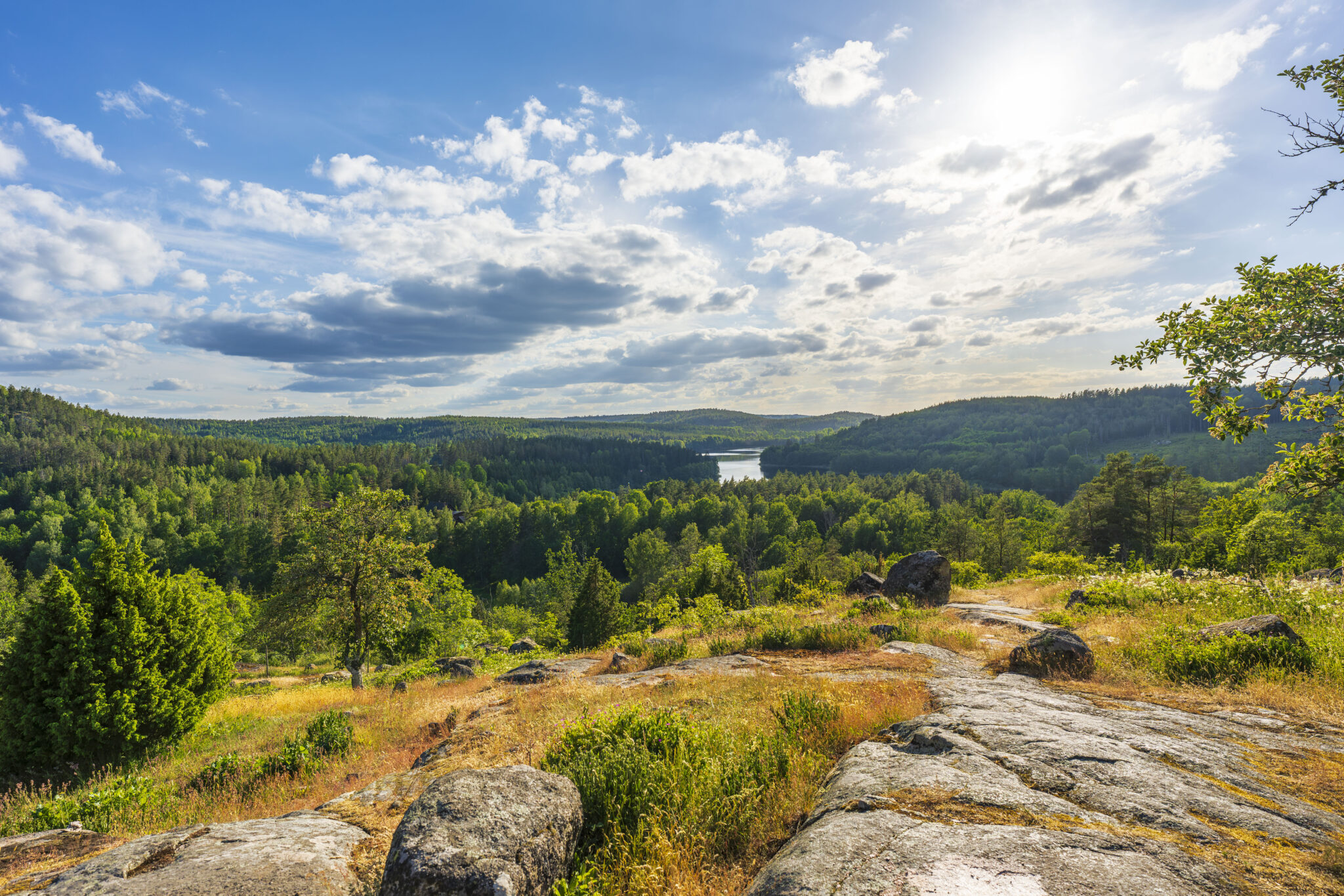 Utsikt från Idhults naturreservat i Kinda över skogsklädd dalgång med sjö, klippor i förgrunden och dramatisk sommarhimmel