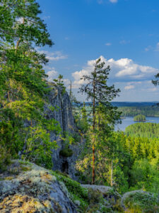 Hisneklint tur och retur