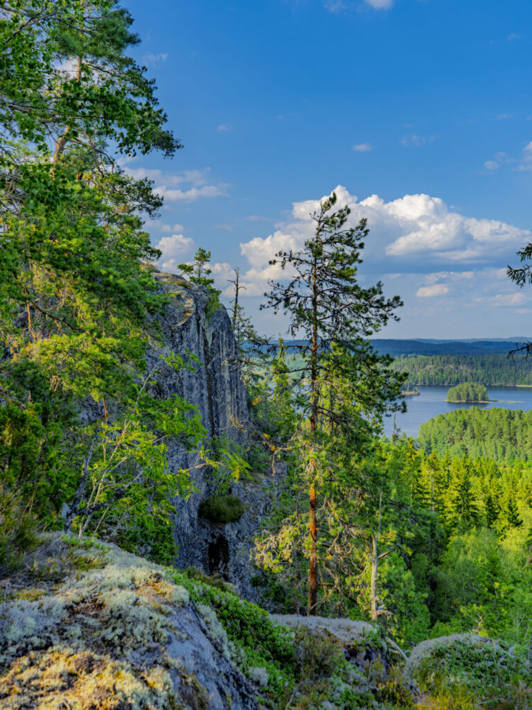 Hisneklint tur och retur