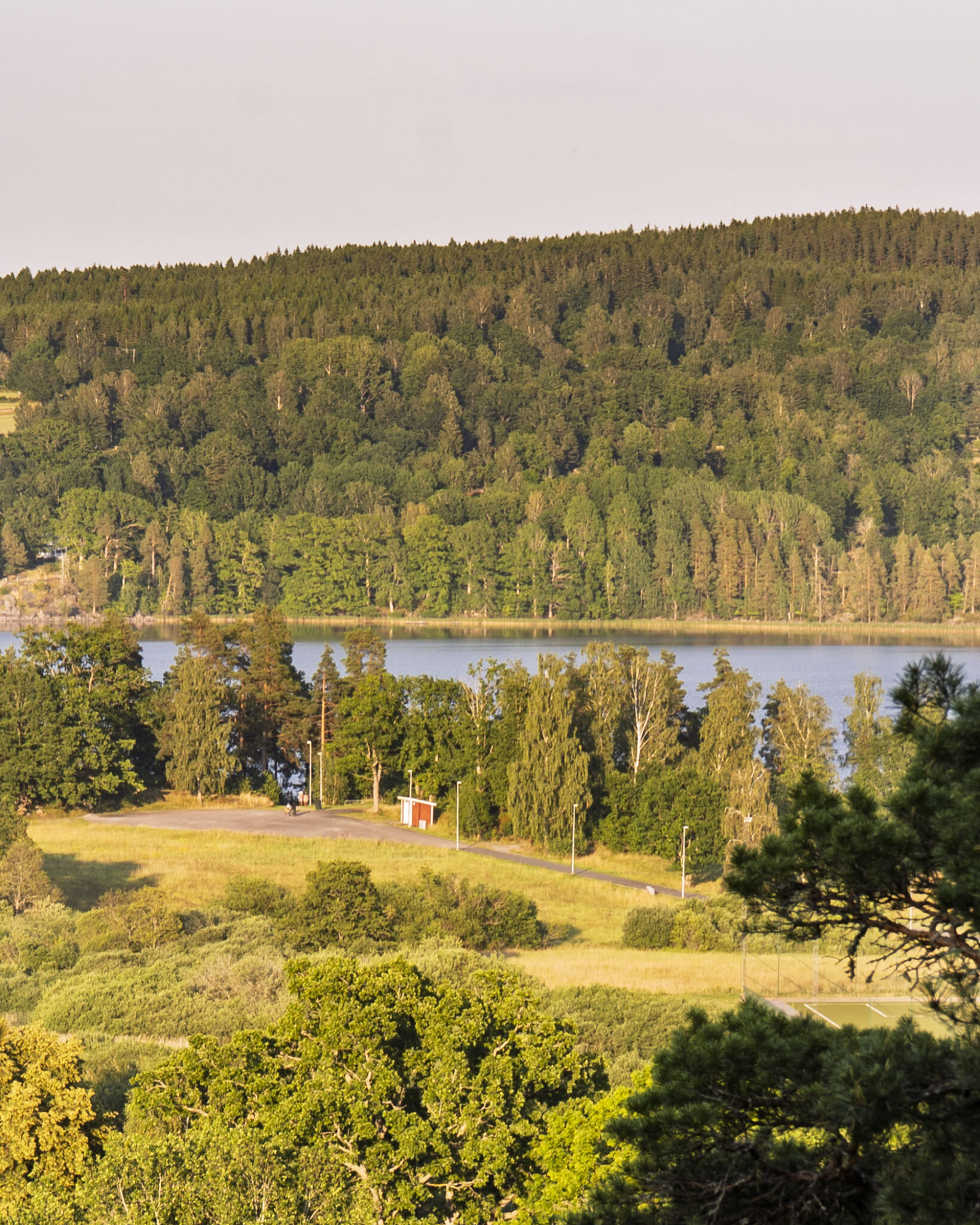 Utsikt från Borgarberget över Kisasjön och Värgårdsuddens badplats omgiven av grön skog i Kisa, Östergötland.
