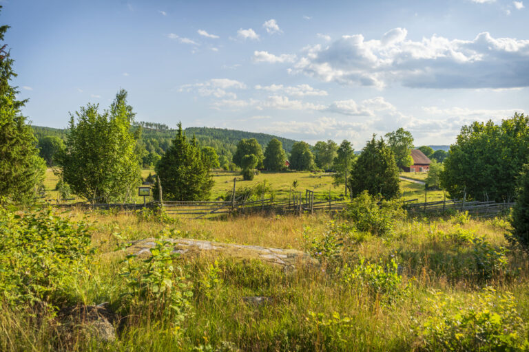 Föllingsö odlingslandskaps naturstig