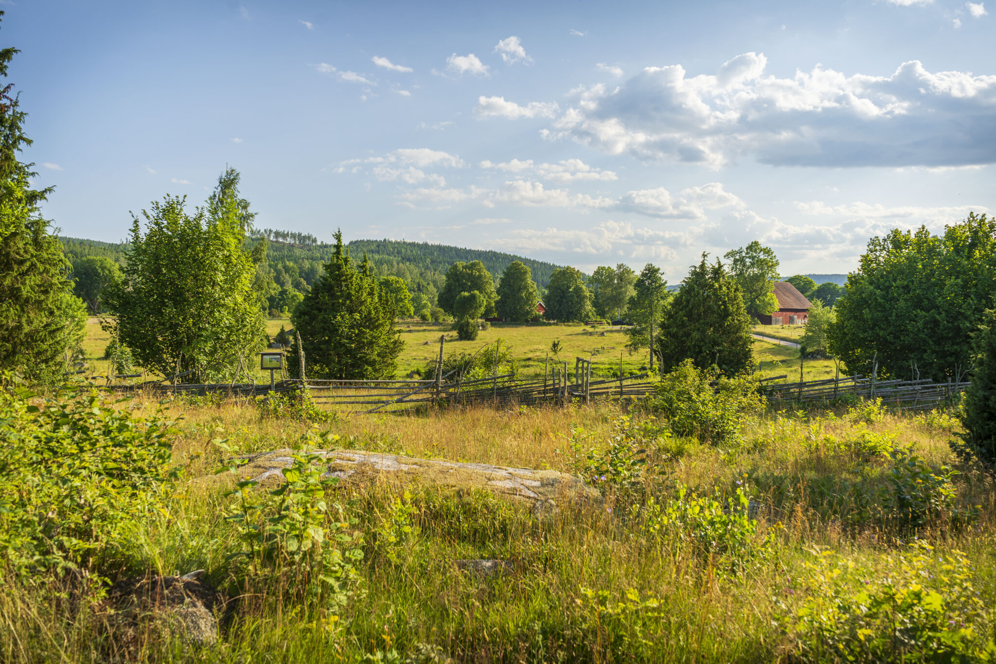 Traditionellt svenskt odlingslandskap med gärdsgård, röd lada och ängsmark vid Föllingsö naturstig i Kinda kommun.