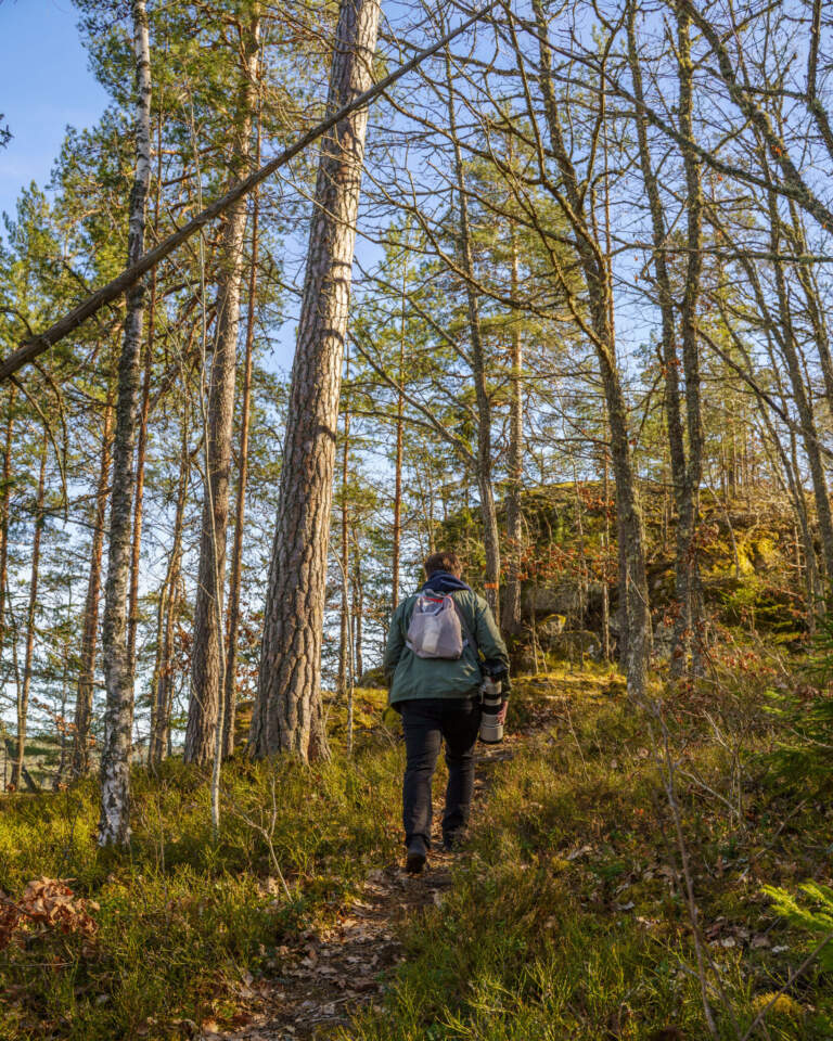Valö naturreservats vandringsled