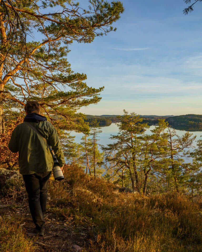 Boda naturreservats vandringsled