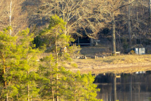 Vindskydd med grillplats och bänkbord vid en stilla sjöstrand på Bjuggö, omgivet av tallar och lövträd i vårljus